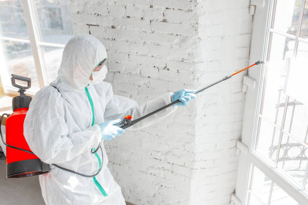 Mold Remediation for Vacation Homes in Syracuse, NE